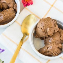 vegan chocolate peanut butter banana ice cream-5