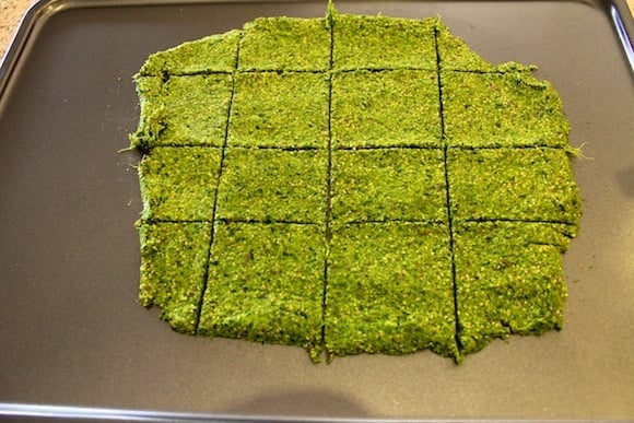 green juice cracker batter on dehydrator sheet with scored crackers.