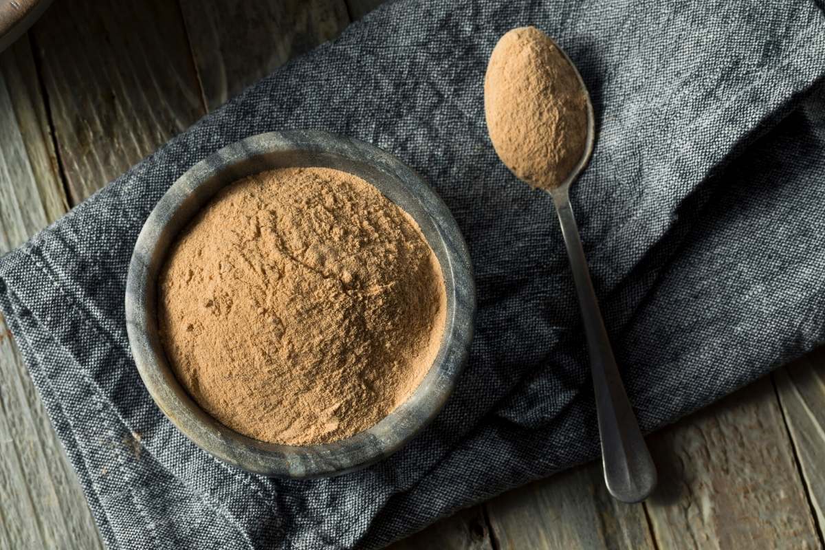 lentil protein powder