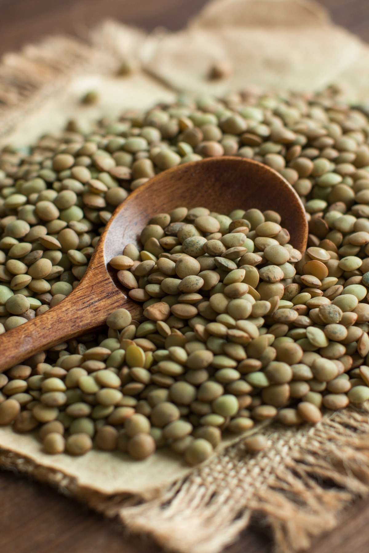 lentils with spoon