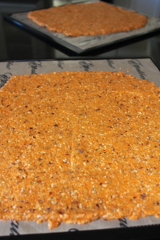 Carrot Pulp Cracker dough ready to be dehydrated.