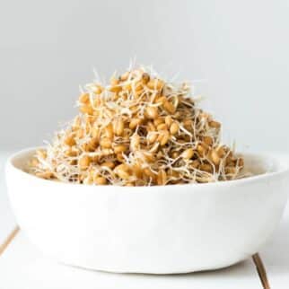 sprouted oat groats in white bowl on table.