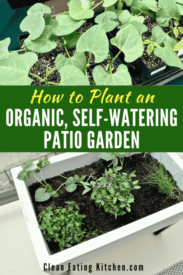 This post has everything you need to set up and grow your very own organic, self-watering patio garden. It's such a fun and rewarding activity to grow your herbs and vegetables, even in a small space. #gardening #urbangarden #diy #organic #vegetables #garden