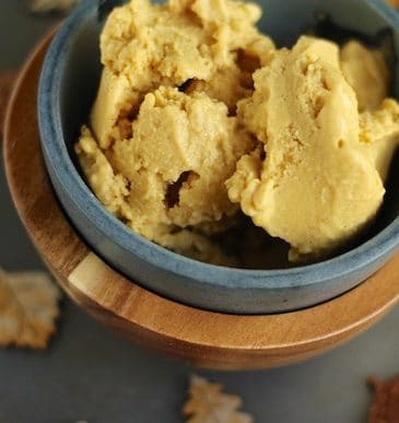 single-dish-of-pumpkin-ice-cream