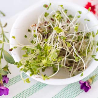 fresh broccoli sprouts served in a white bowl