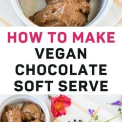 vegan chocolate soft serve recipe pin
