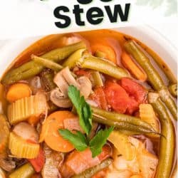instant pot veggie stew pin