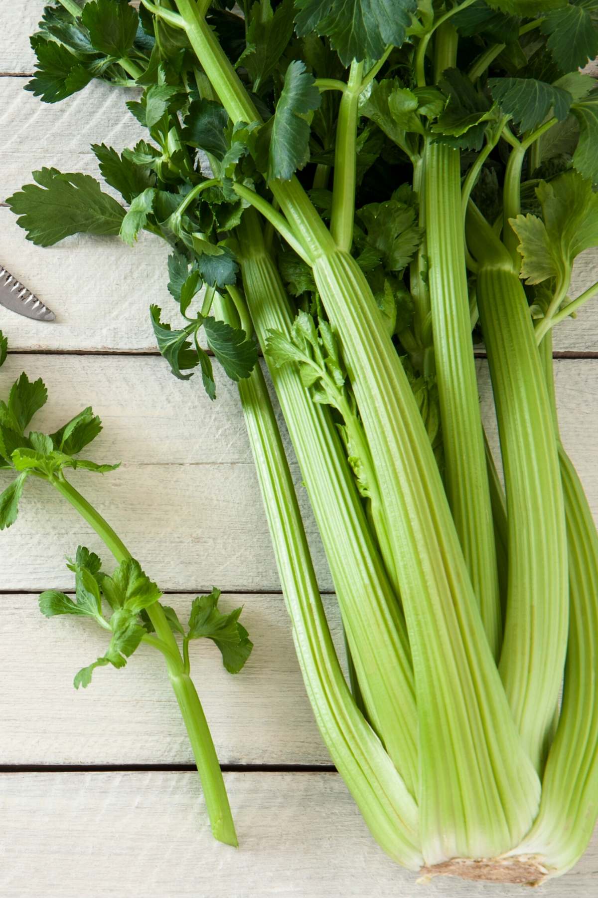 bunch of celery.