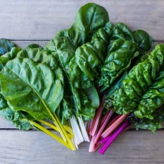 selection of rainbow chard on a countertop