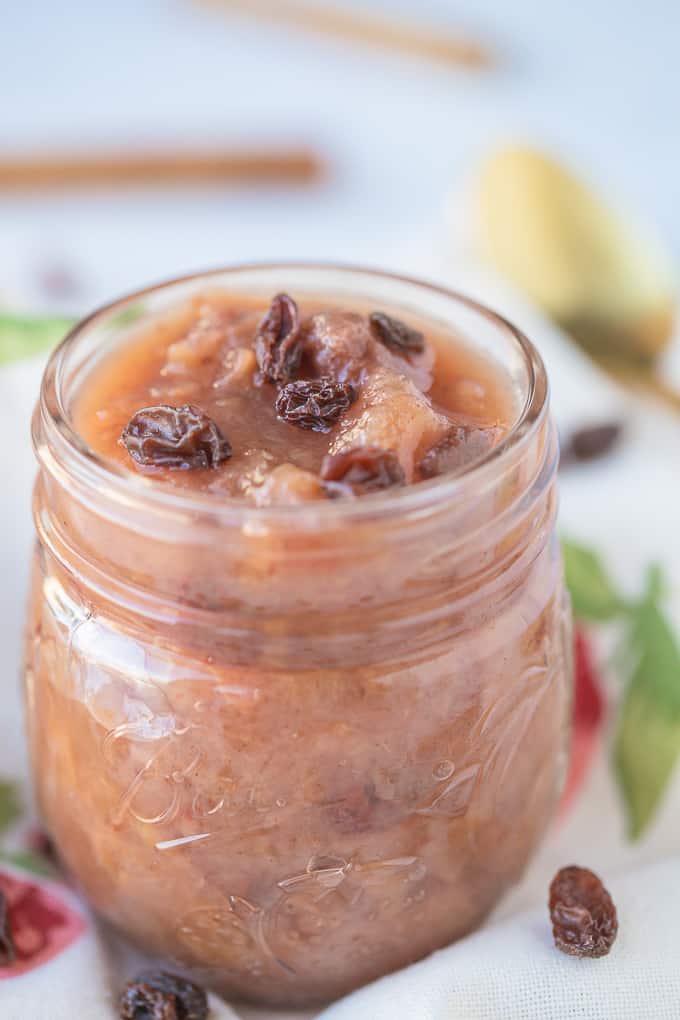 instant pot cinnamon raisin applesauce topped with raisins
