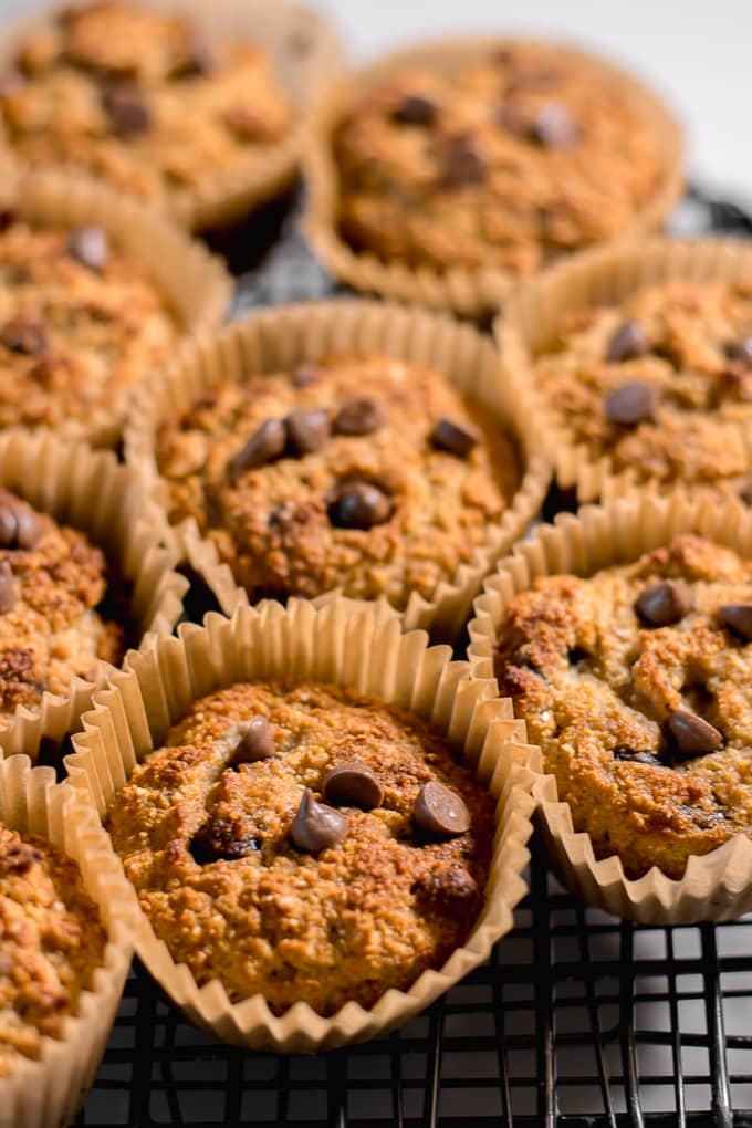 Coconut Flour Chocolate Chip Muffins Clean Eating Kitchen