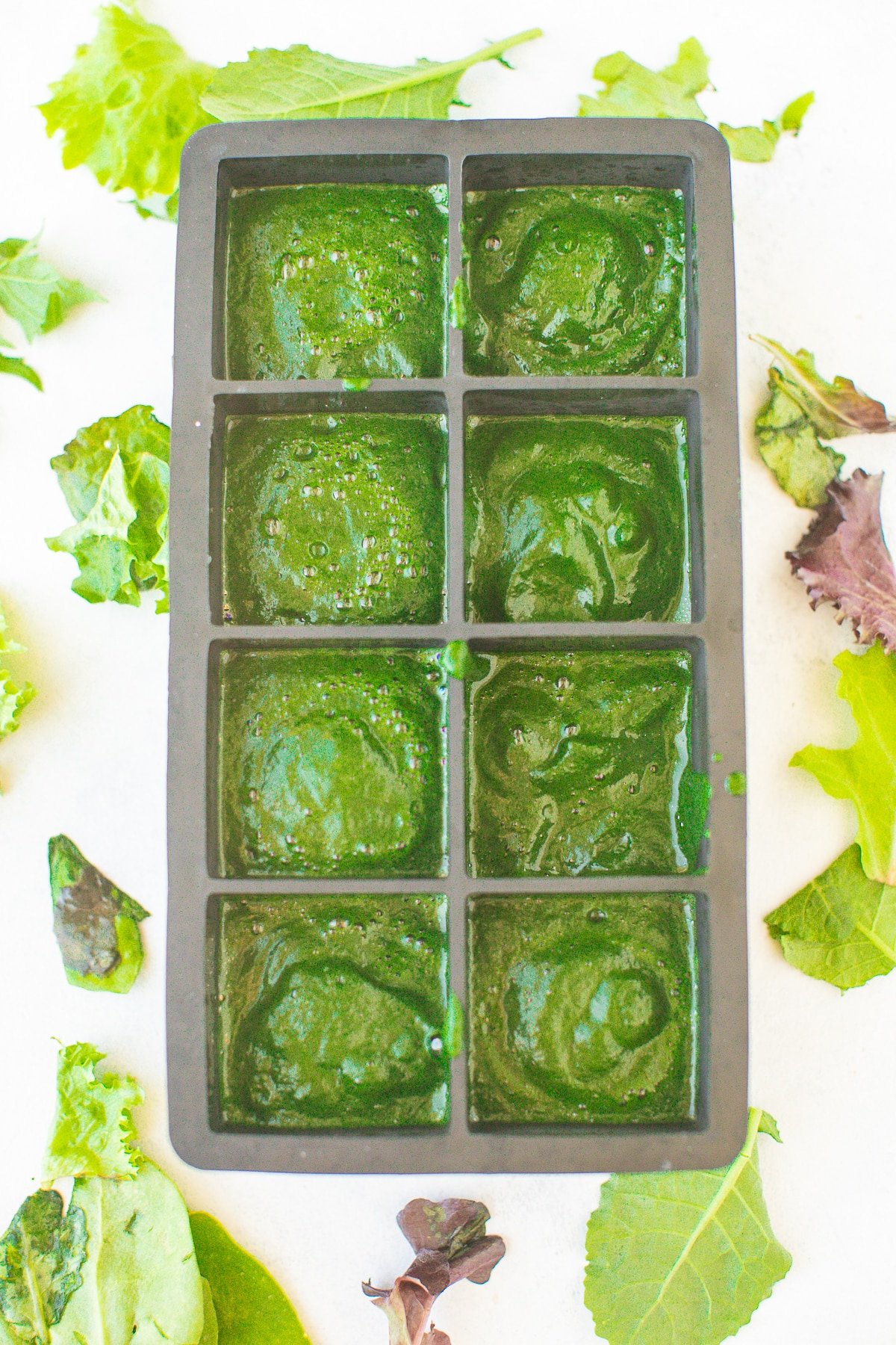 pureed spinach in ice cube tray
