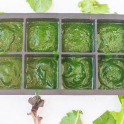 ice cube tray with pureed spinach