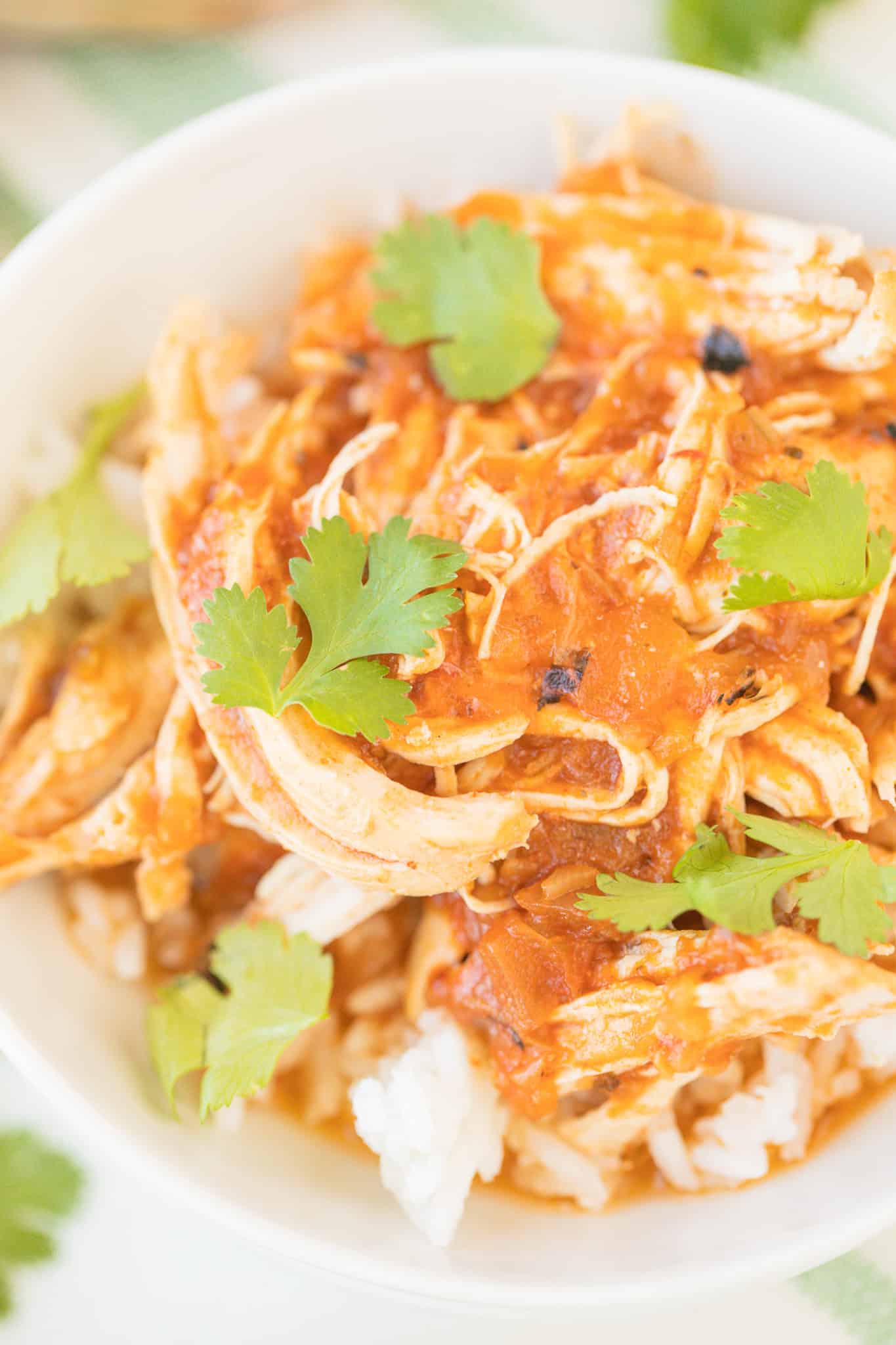 bowl of salsa chicken with cilantro leaves on top