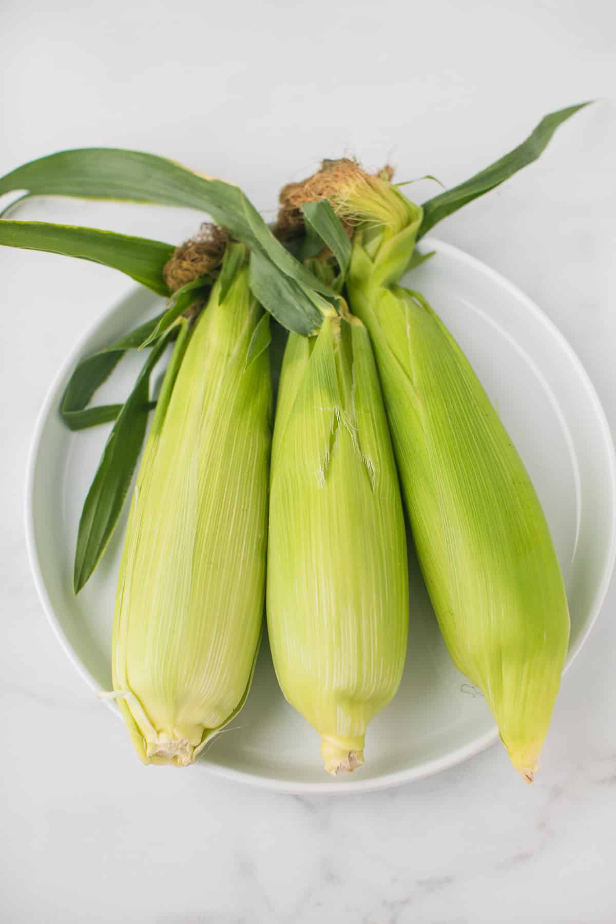 three pieces of corn on a plate with the husks on 