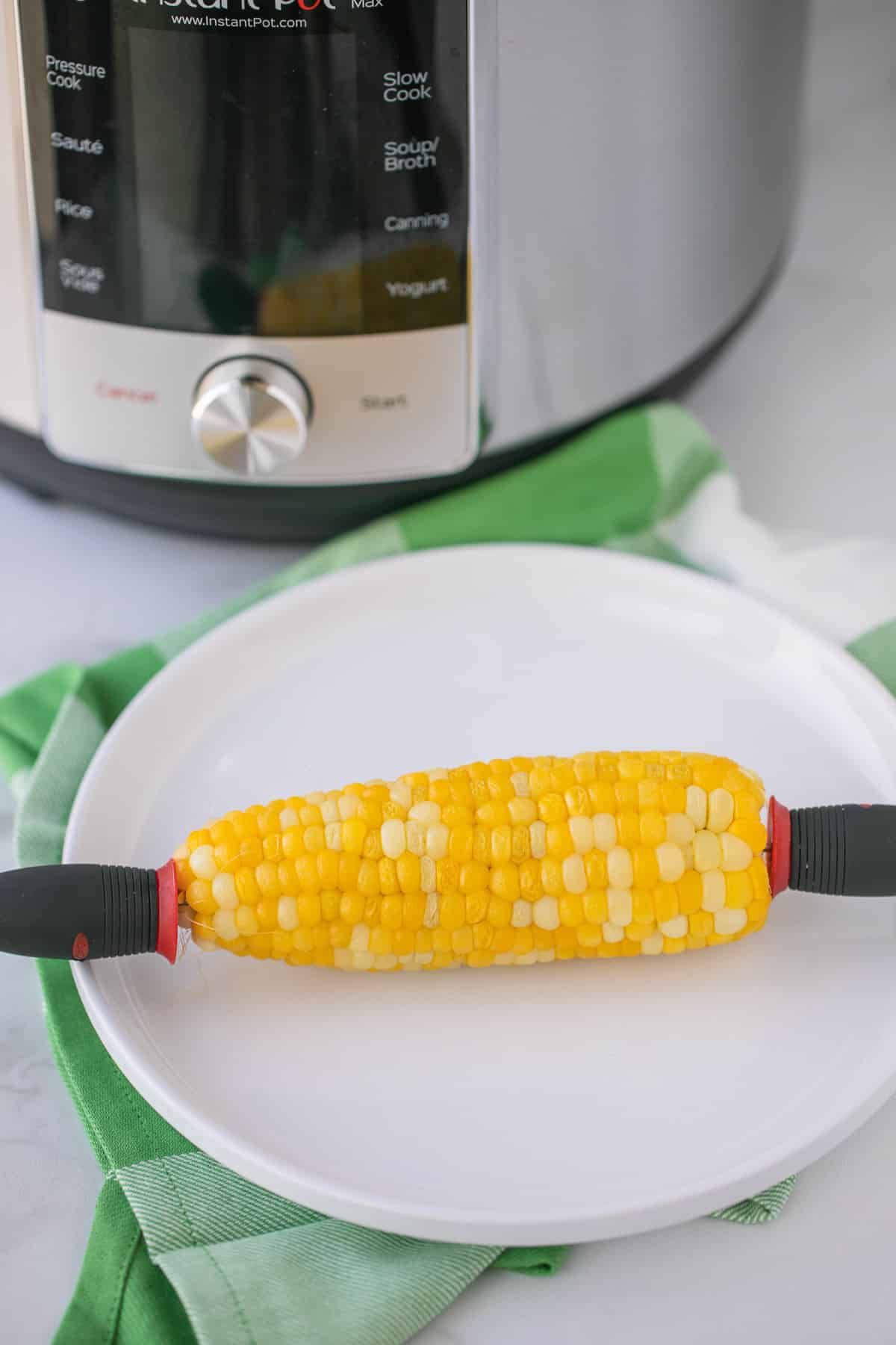 corn on the cob with holders on the ends