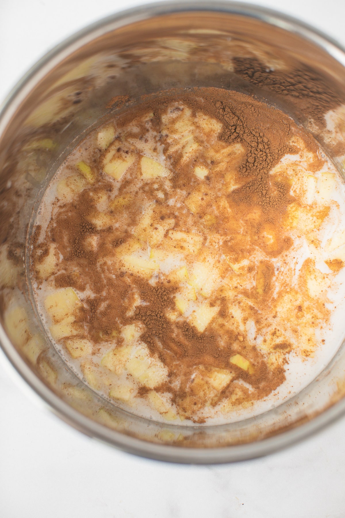 ingredients for cinnamon apple steel cut oats in an instant pot pressure cooker.
