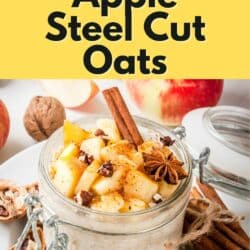 instant pot steel cut oats pin