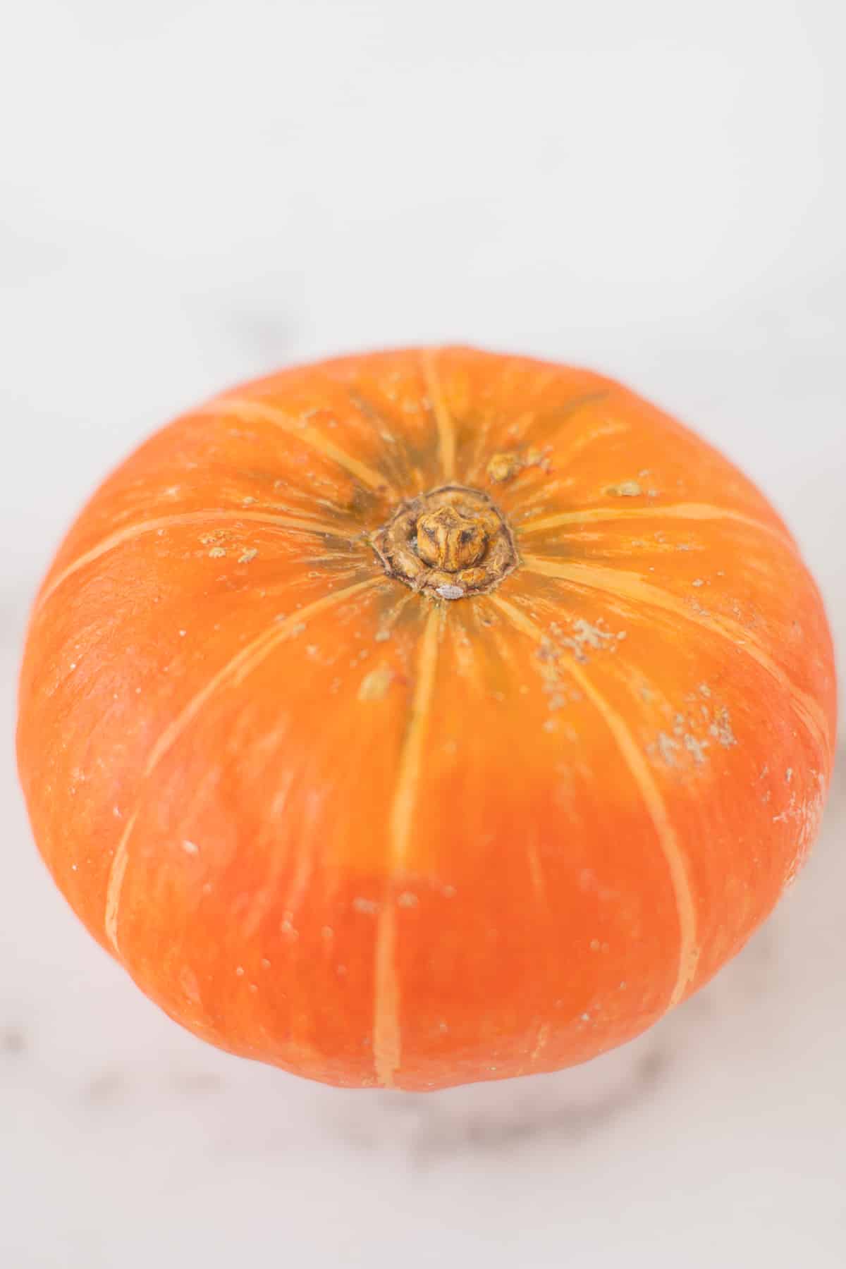 orange kabocha squash.