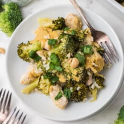 chicken rice broccoli casserole on white plate