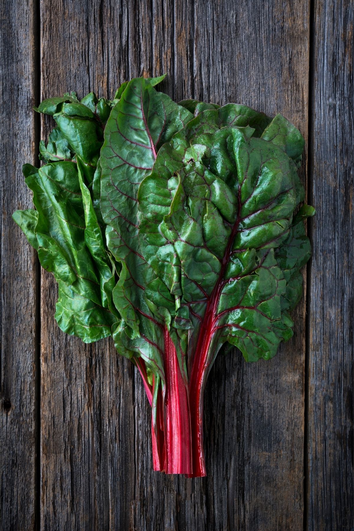 rainbow chard on a countertop.