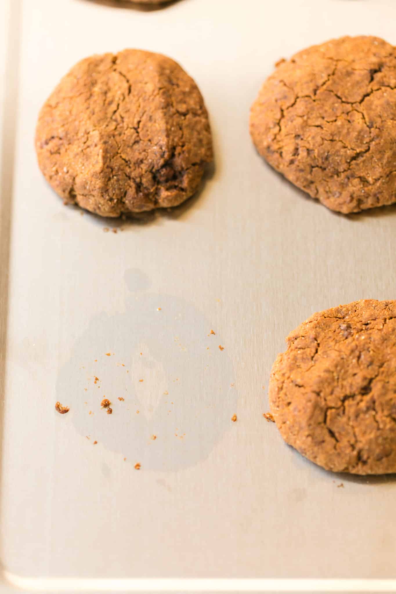 molasses cookies cooling on a stainless steel baking sheet