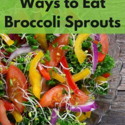 six ways to eat broccoli sprouts