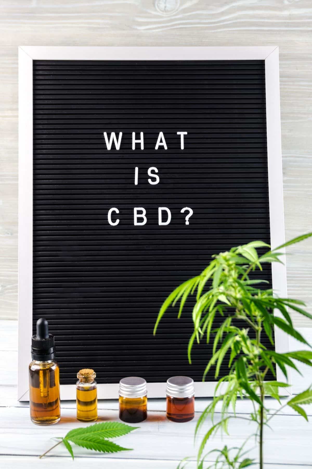 Life CBD Reviews - Does LifeCBD Oil Work or Cheap Tincture? - Islands'  Sounder