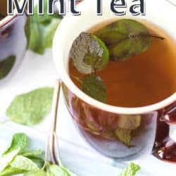 chocolate mint tea pin