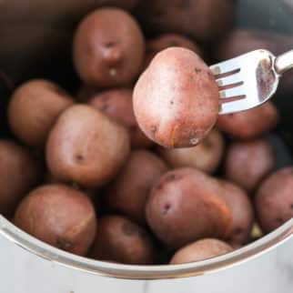 instant pot boiled potatoes in a pot with a fork