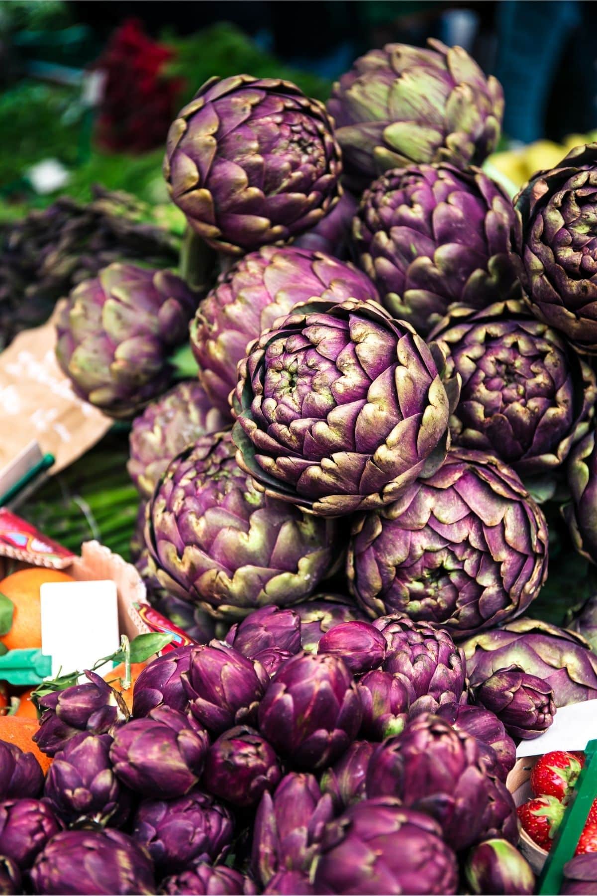 A bunch of purple artichokes