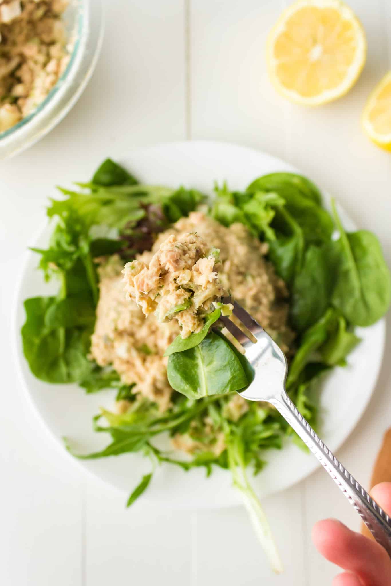 A bite of salmon salad on a fork