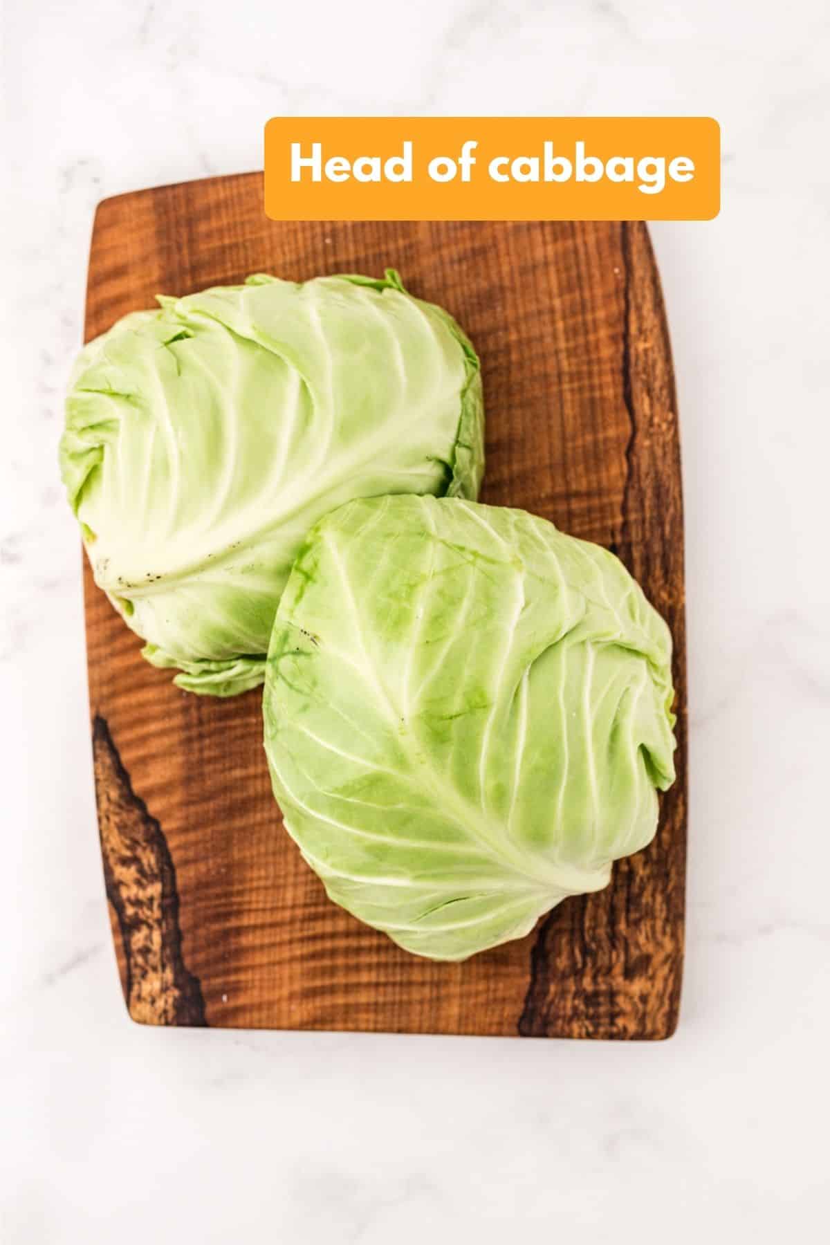 a head of cabbage.