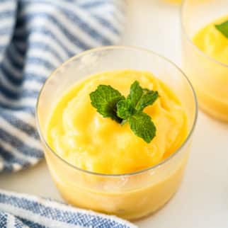 a cup of mango sorbet