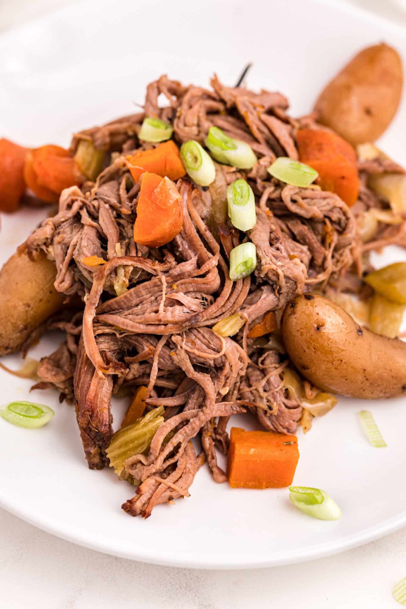 shredded beef with vegetables served on a plate.