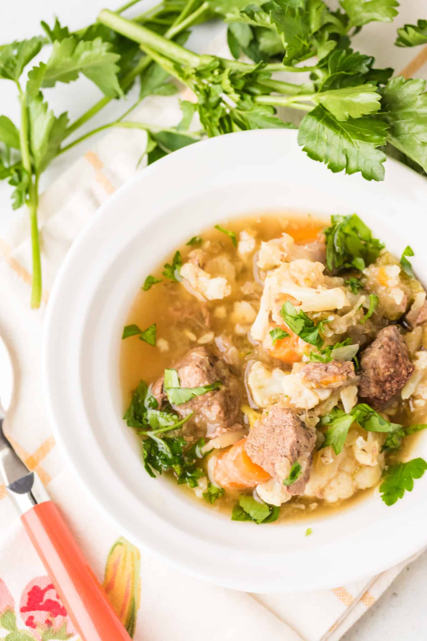 bowl of venison stew in white bowl on a table.