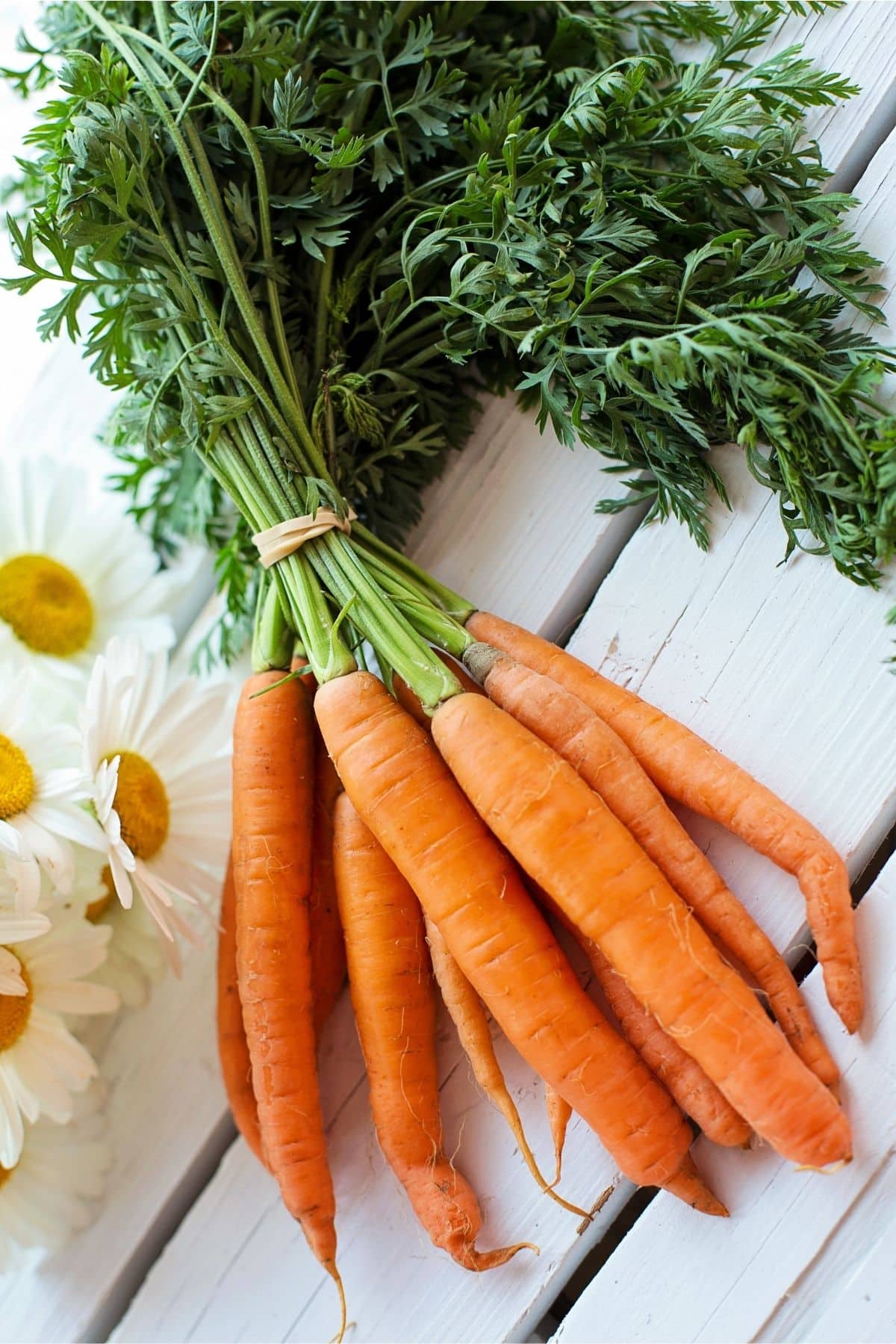 a bunch of carrots on white table.