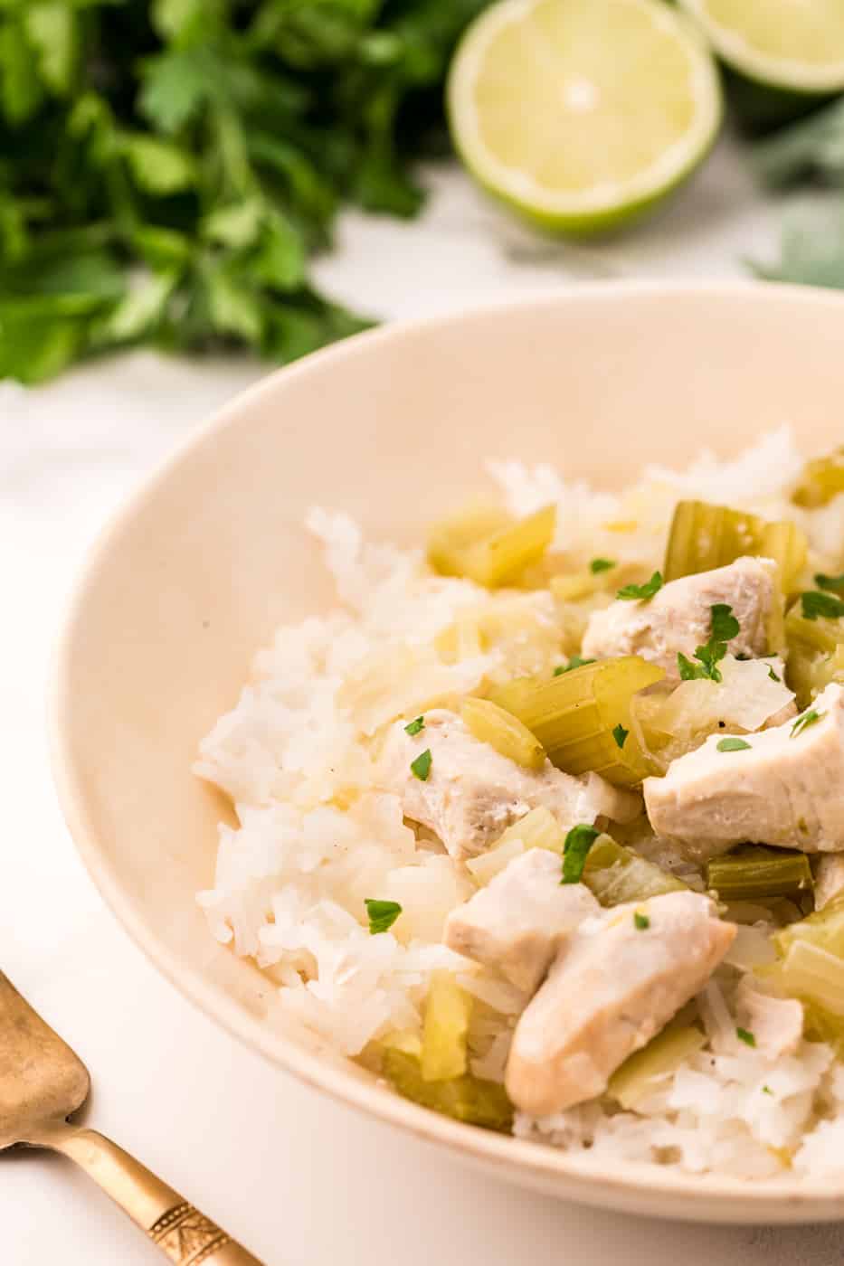 instant pot coconut chicken served in bowl with rice.