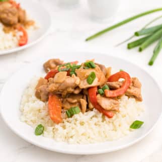 peanut butter chicken with rice