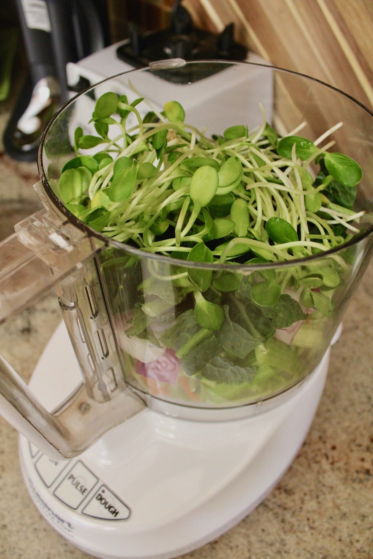 ingredients in food processor for salad