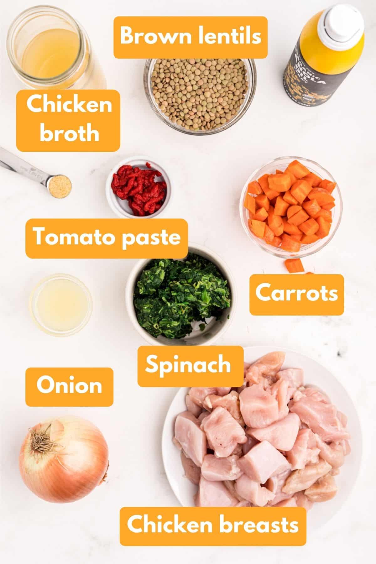 ingredients for slow cooker chicken stew with lentils