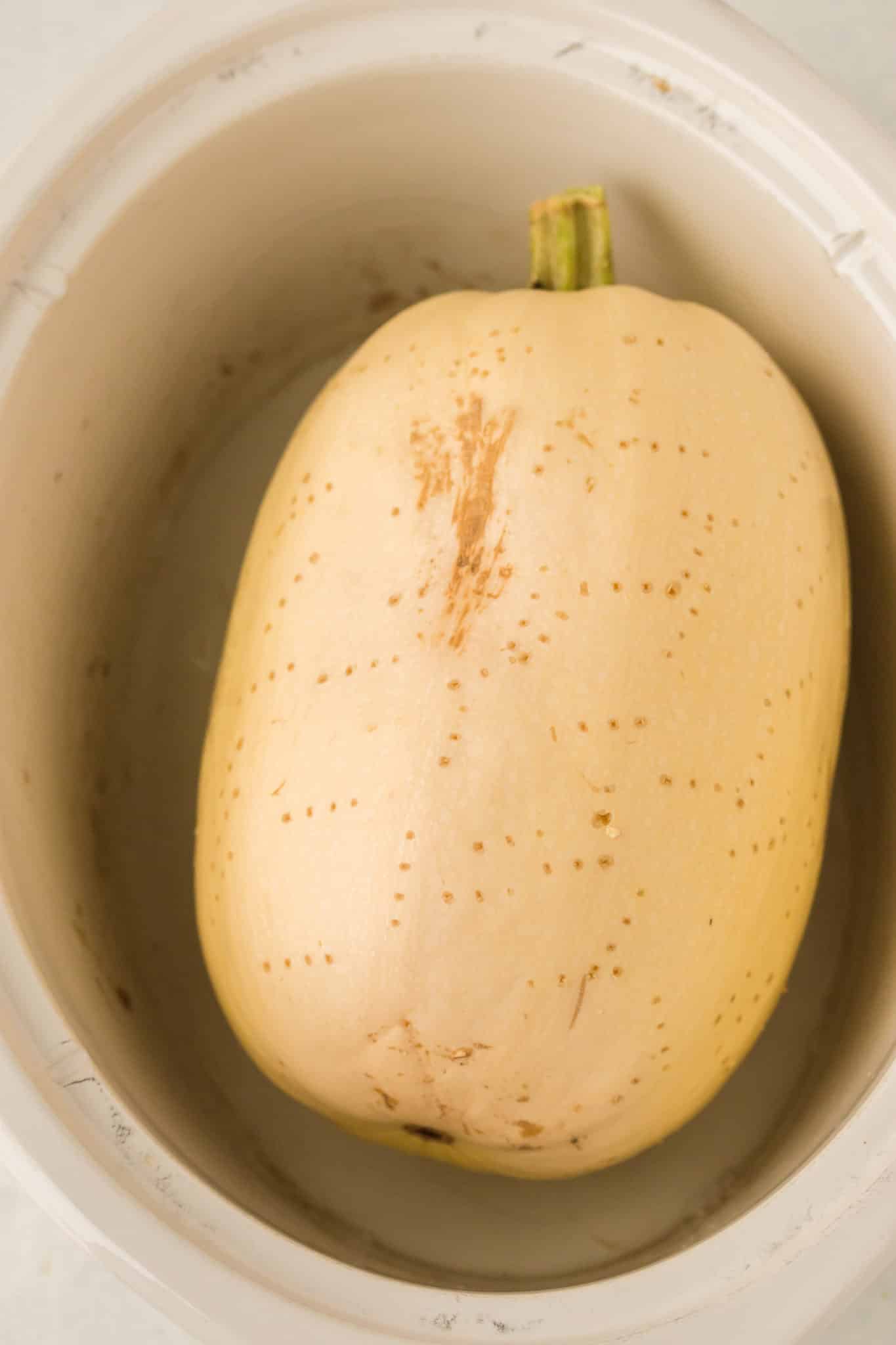 spaghetti squash inside of a crockpot.