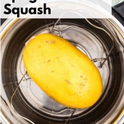 instant pot spaghetti squash pin