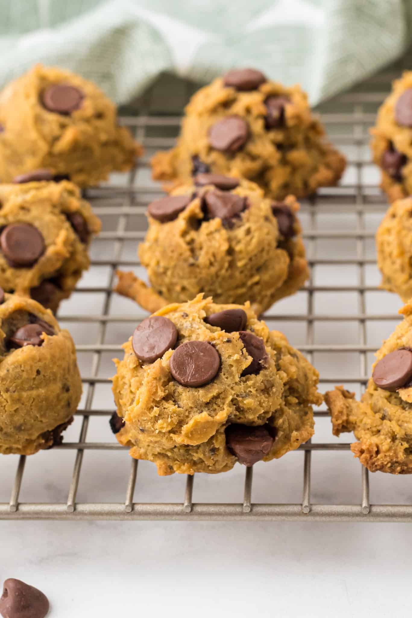 chocolate chip cookies on drying rack