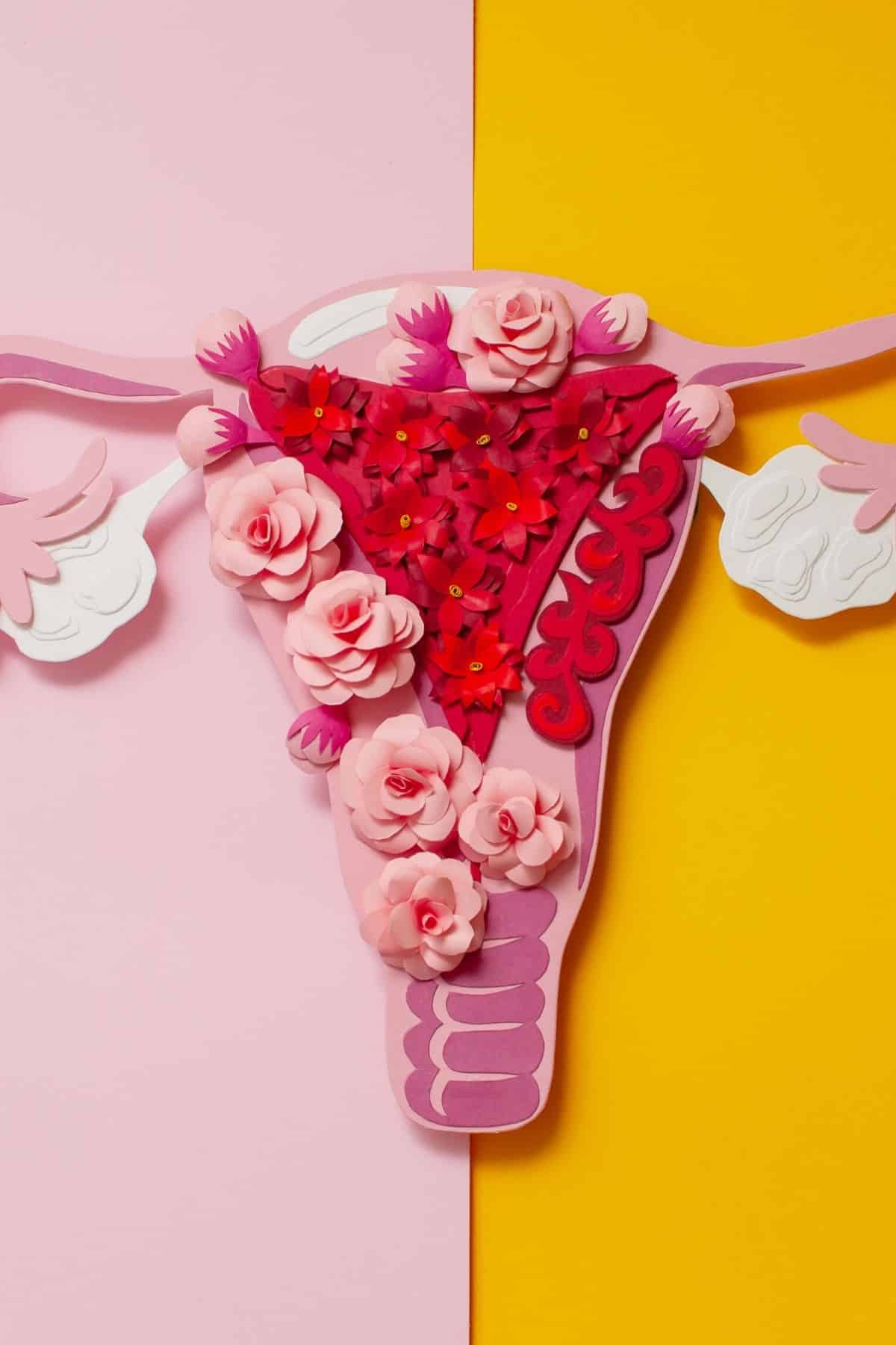 a colorful picture of a uterus made from paper