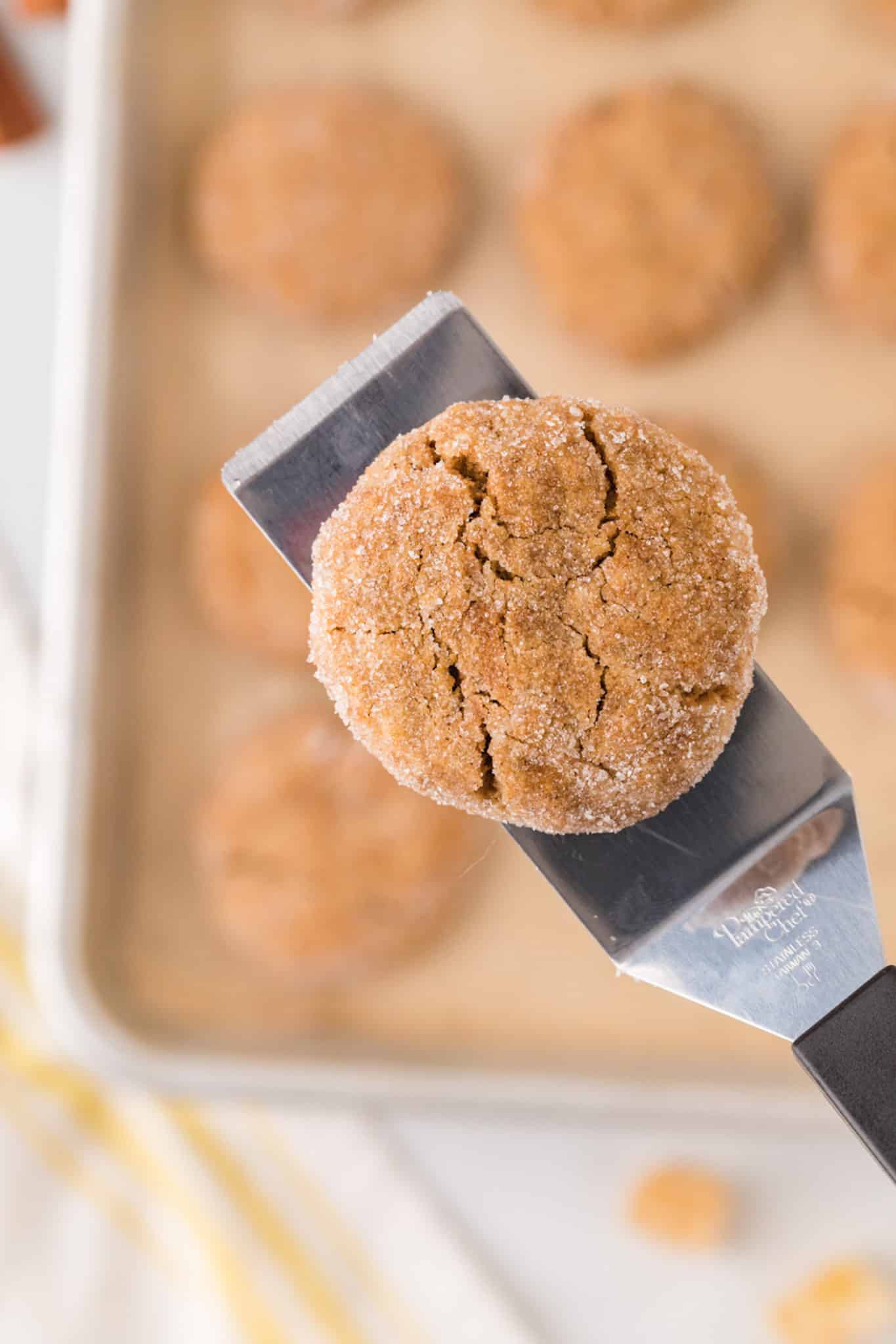 cooked ginger cookie on a spatula.