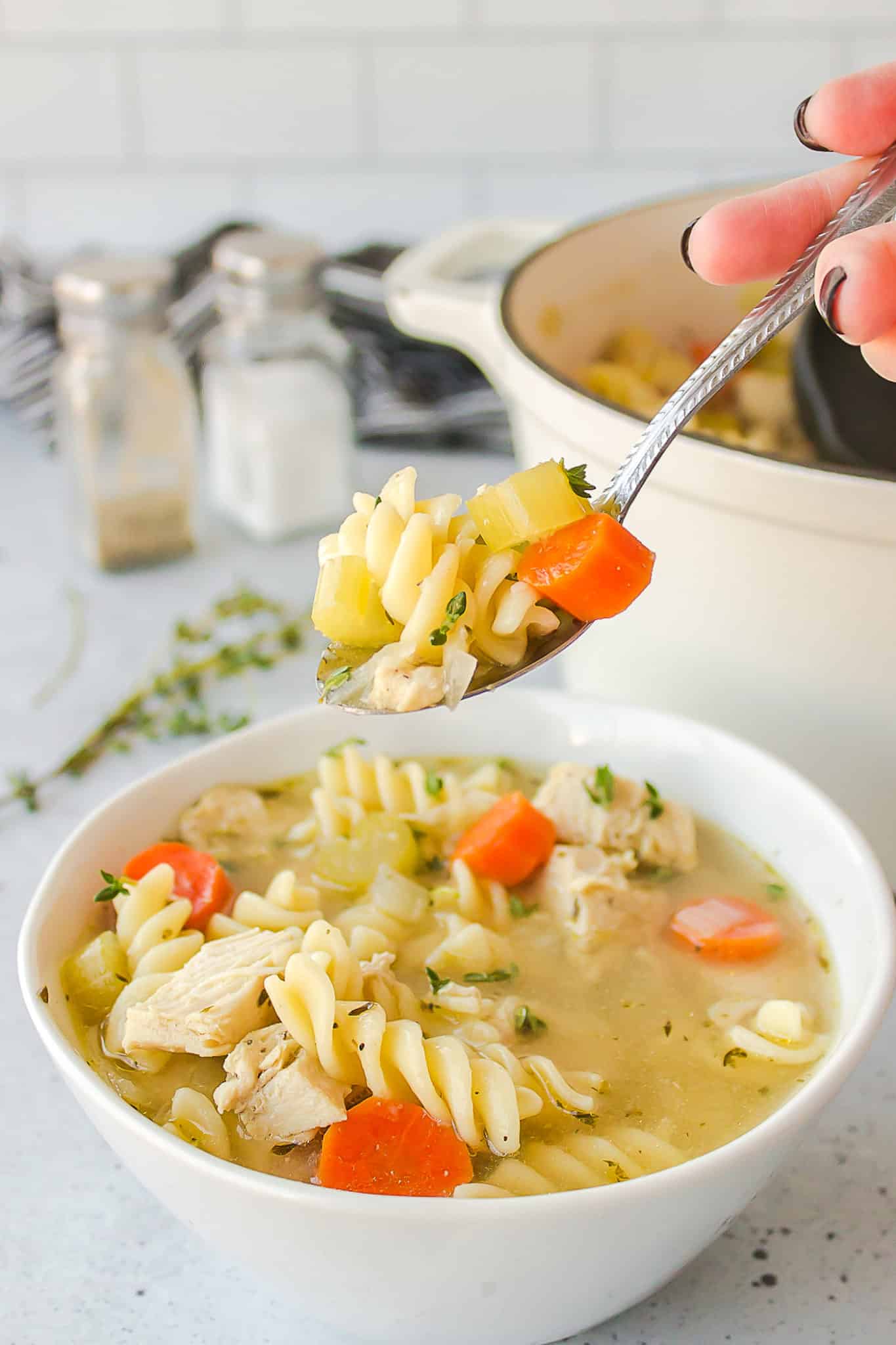 spoonful of chicken noodle soup.