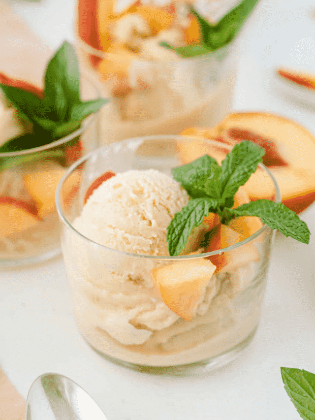 Vegan & Dairy free Vanilla Ice Cream with Coconut Milk - The Fit Peach