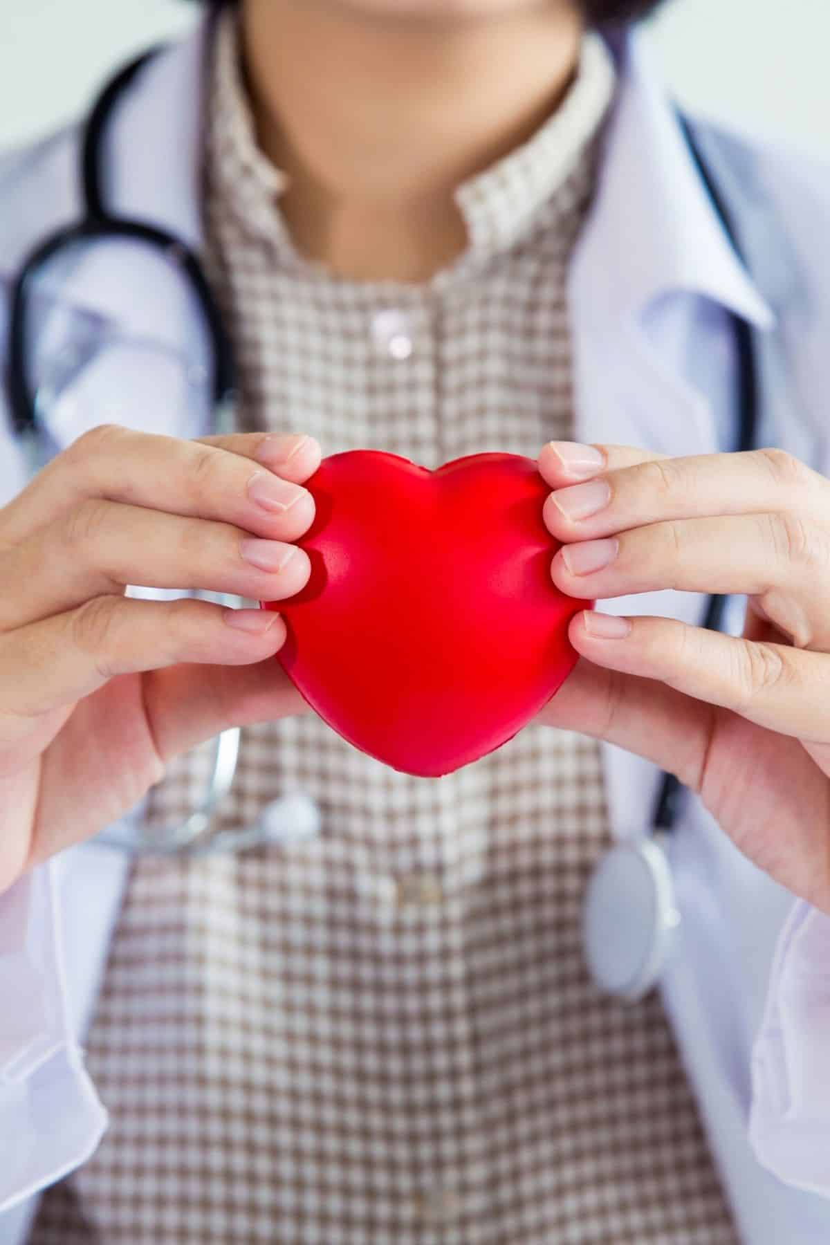 doctor holding a heart shaped item