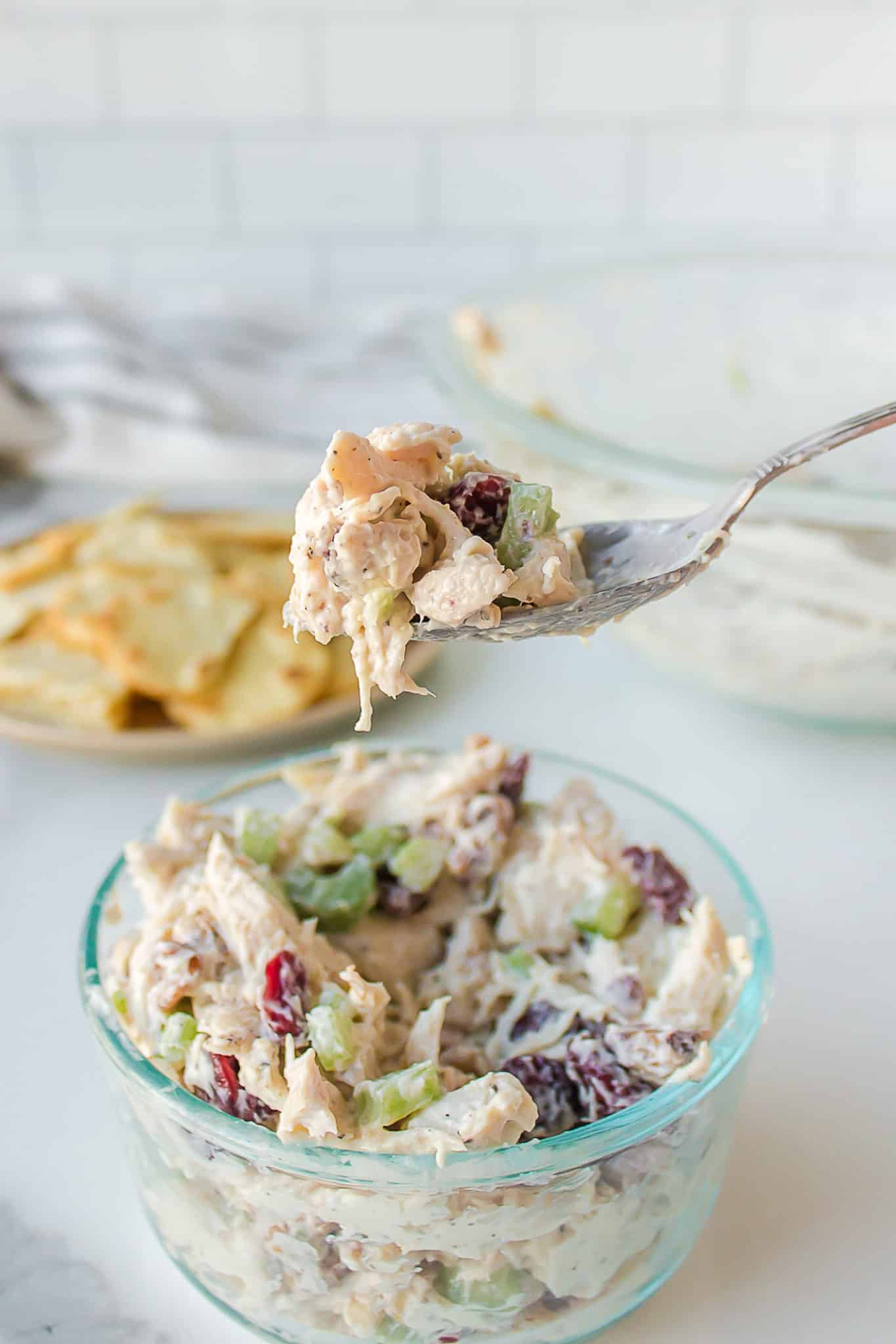 a spoonful of chicken salad.